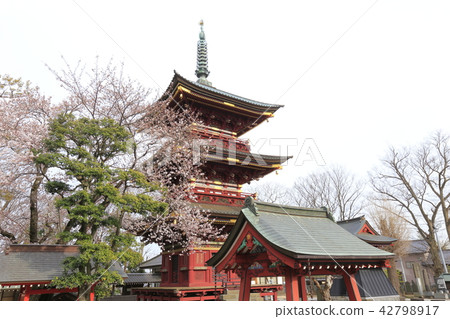 Itabashi Fudosan Mieke Tower茨城縣筑波未來市 42798917