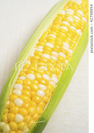 corn corn 42799954