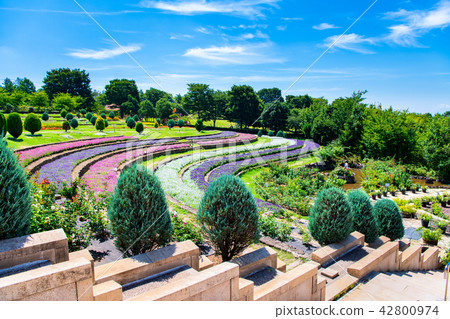 Village of Yamanashi Heidi 42800974