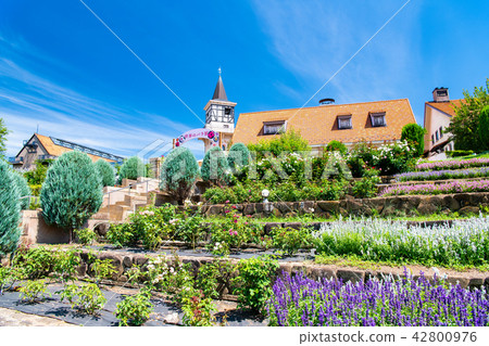Village of Yamanashi Heidi Village of Yamanashi Heidi 42800976