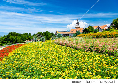 Village of Yamanashi Heidi Village of Yamanashi Heidi 42800981