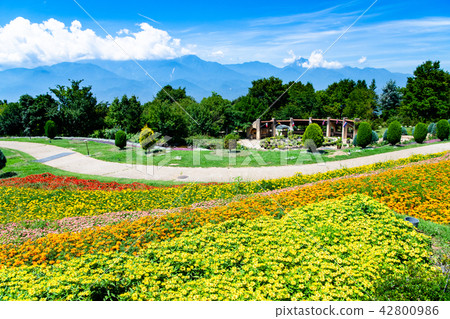 Village of Yamanashi Heidi Village of Yamanashi Heidi 42800986