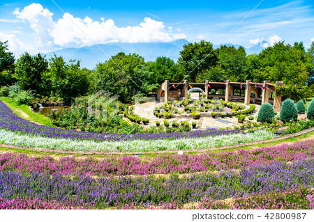 Village of Yamanashi Heidi Village of Yamanashi Heidi 42800987