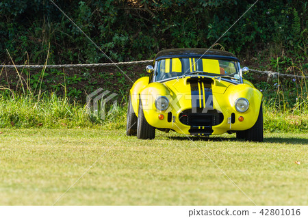 Vintage Sports Car Yellow Black 42801016