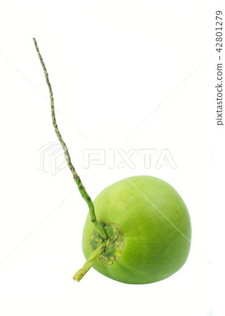 Green coconut fruit isolated on white background Green coconut fruit isolated on white background 42801279