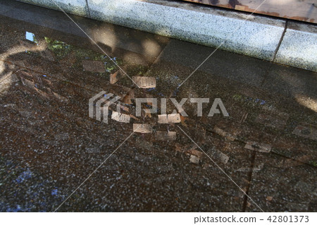 An ema reflecting on the surface of the water 42801373