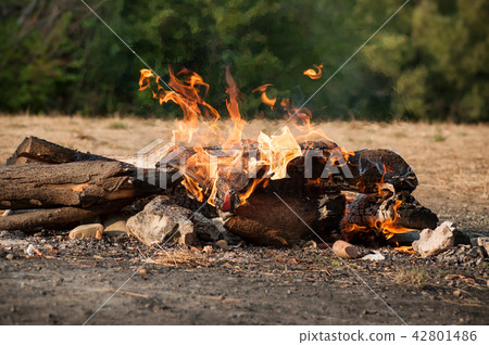 closeup of campfire in outdoor closeup of campfire in outdoor 42801486