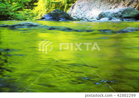 綠色的溪流 綠色的溪流 42802299