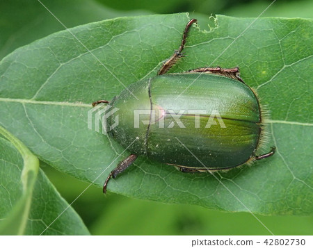 Awesome glass 42802730