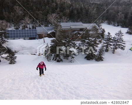 Mountaineer climbing a snowy mountain Yatsugatake Kuyiri-Gairi 42802847
