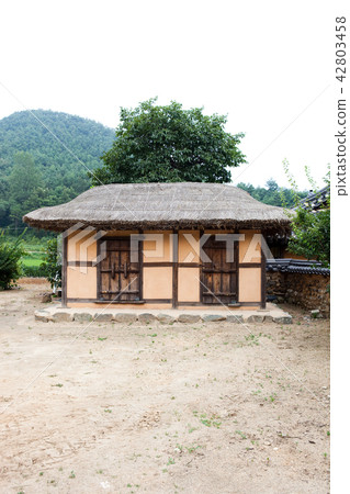 江原道高城郡望王村 江原道高城郡望王村 42803458