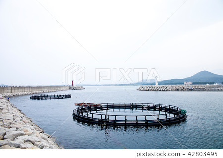 江原道高城郡Gyeonghyunjin 42803495