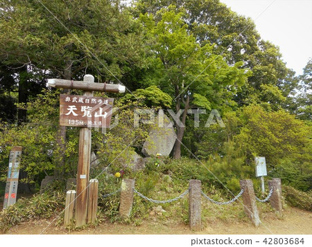 Zenzan Zenzan 42803684