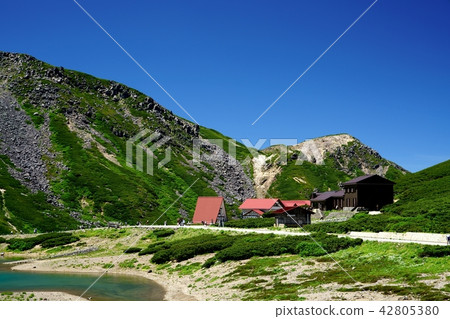 Norikura-dake in July (Location: Norikura-dake, Tatamaira) 42805380
