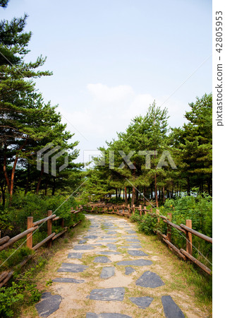 Song Ji-ho, Goseong-gun, Gangwon-do Song Ji-ho, Goseong-gun, Gangwon-do 42805953