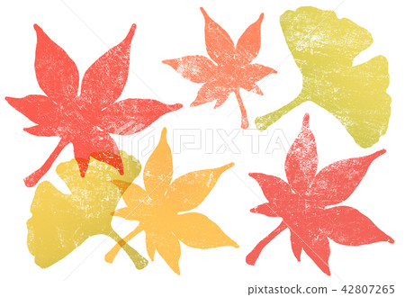 Autumn leaves 42807265