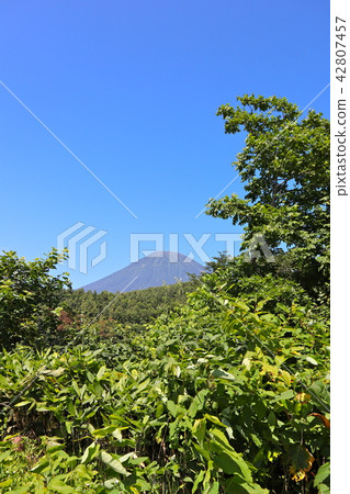 Mt. Yotei in the summer Mt. Yotei in the summer 42807457