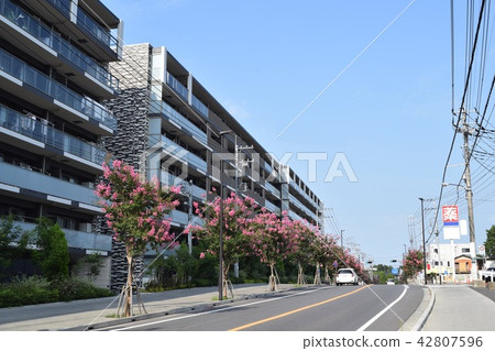 茨城縣守谷市住宅區 42807596