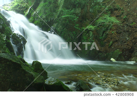 栗子谷 栗子谷 42808908