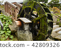 Summer water mill 42809326