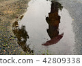 puddle on a rainy day 42809338