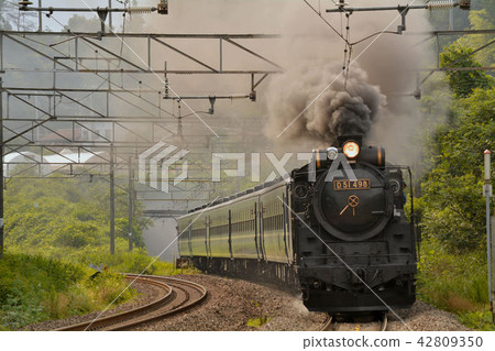 D 51, run D 51, run 42809350