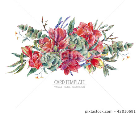 Watercolor floral template card of red flowers, Amaryllis Watercolor floral template card of red flowers, Amaryllis 42810691