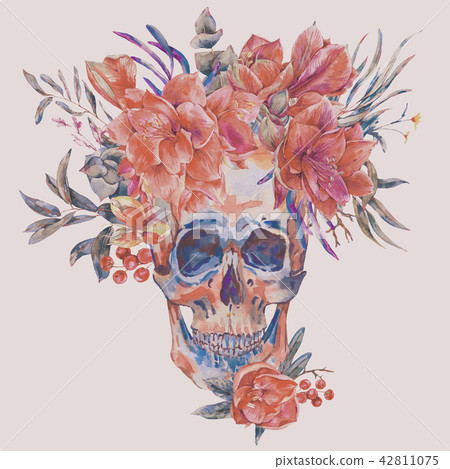 Watercolor vintage skull with red flower Amaryllis Watercolor vintage skull with red flower Amaryllis 42811075