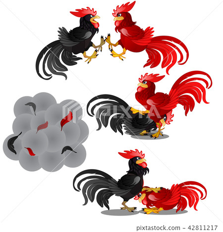 Set of epic scenes of the fight of the black and red animated cock isolated on a white background 42811217