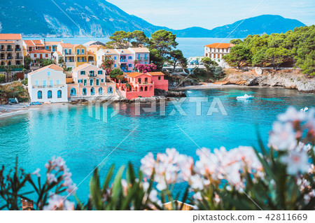Bright white flower blossom in front of turquoise colored bay in Mediterranean sea and beautiful Bright white flower blossom in front of turquoise colored bay in Mediterranean sea and beautiful 42811669
