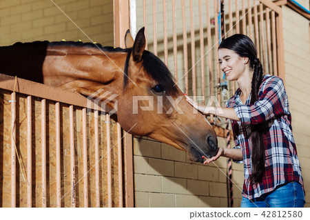 Young horsewoman standing in stable and petting dark horse 42812580