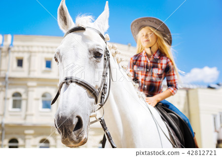 White racing horse standing submissively with girl on him 42812721