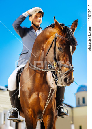 Saddle horse looking very exhausted while horse man sitting on him 42813041