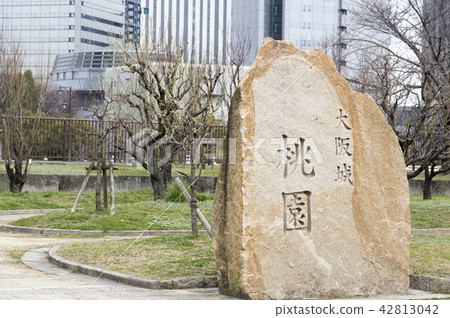 桃園大阪城公園（大阪市中央區） 42813042