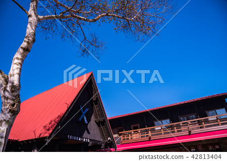 (Yamanashi Prefecture) Kiyosato's Seisen Dorm Autumn (Yamanashi Prefecture) Kiyosato's Seisen Dorm Autumn 42813404