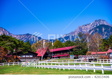 (Yamanashi Prefecture) Kiyosato's Seisen Dorm Autumn 42813406