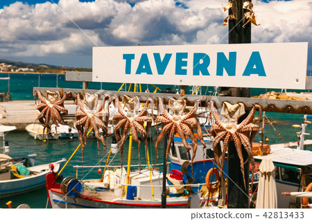 Drying octopus in Chania, Crete, Greece 42813433