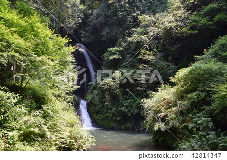 藤本瀑布 42814347