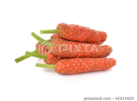 Long Pepper isolated on white background Long Pepper isolated on white background 42814420