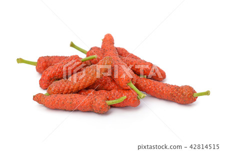 Long Pepper isolated on white background Long Pepper isolated on white background 42814515