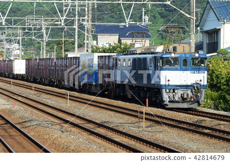 Morning EF 64 42814679