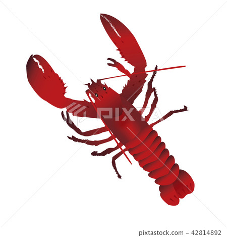 crayfish 42814892