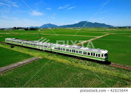 Echigo line 115 series train going through the green countryside of the Echigo Plain against the background of Yahiko Mountain Echigo line 115 series train going through the green countryside of the Echigo Plain against the background of Yahiko Mountain 42815644