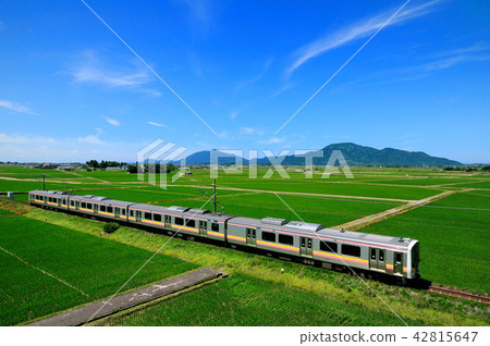 Echigo line E129 train going through the green countryside of the Echigo Plain against the background of Yahiko Mountain 42815647