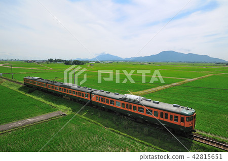Echigo line 115 series train going through the green countryside of the Echigo Plain against the background of Yahiko Mountain Echigo line 115 series train going through the green countryside of the Echigo Plain against the background of Yahiko Mountain 42815651