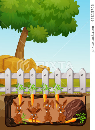 underground scene with rabbits underground scene with rabbits 42815706