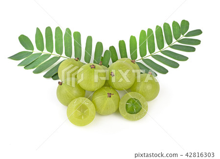 gooseberries on white background gooseberries on white background 42816303
