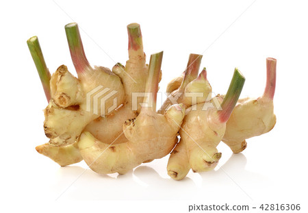 Fresh ginger isolated on white background 42816306