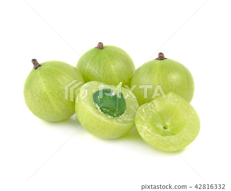 gooseberries on white background 42816332