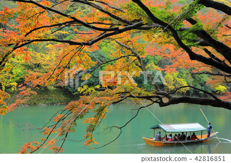 Kyoto Arashiyama 42816851